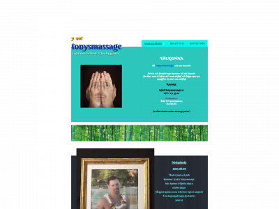 tonysmassage.se snapshot