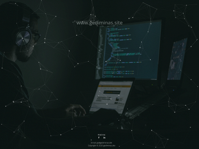 gediminas.site snapshot