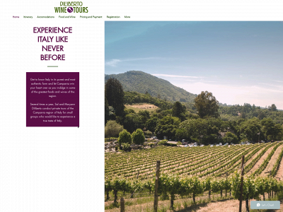 dilibertowinetours.com snapshot