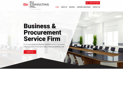 eij-consulting.com snapshot