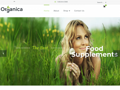 healthlabslifestylesolutions.com snapshot