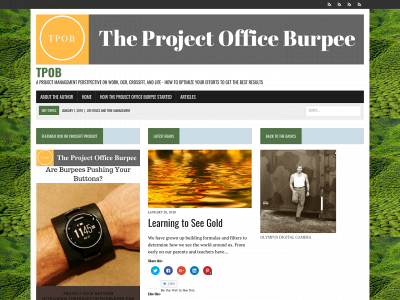 theprojectofficeburpee.com snapshot