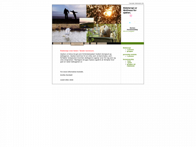 rideterapien.info snapshot
