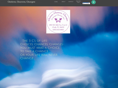 choiceschanceschanges.us snapshot