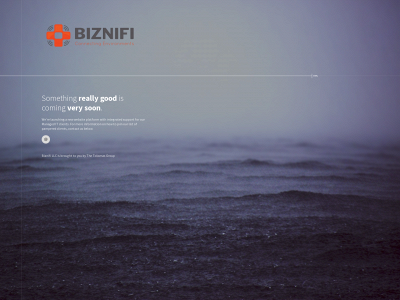 biznifi.com snapshot