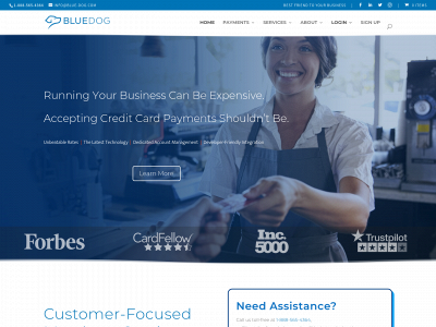 yourbluedog.com snapshot