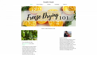 roughlysimple.com snapshot