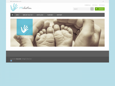 milesten.com snapshot
