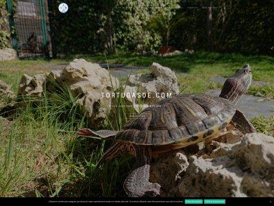 tortugasde.com snapshot
