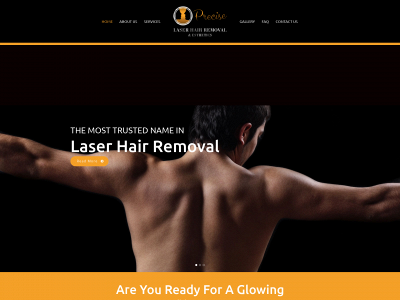 preciselasermak.com snapshot