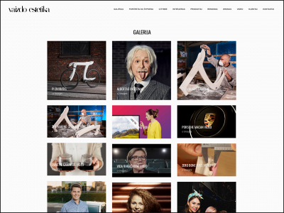 vaizdoestetika.lt snapshot