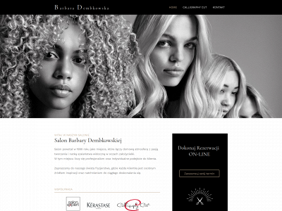 dembkowska.pl snapshot