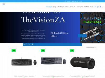 thevisionza.com snapshot