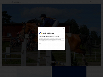 stallkilligrew.com snapshot