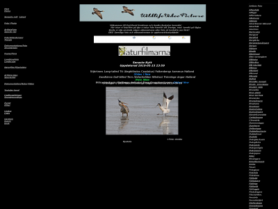 wildlifevideopicture.se snapshot