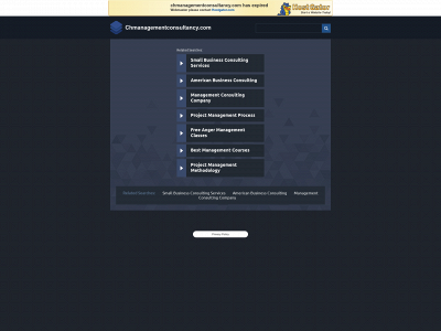 chmanagementconsultancy.com snapshot