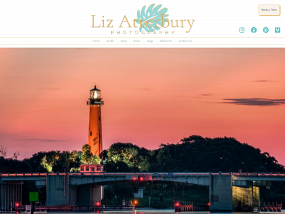 lizatterbury.com snapshot