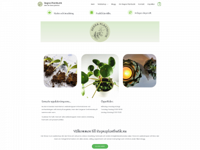 regnaplantbutik.nu snapshot