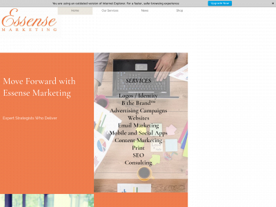 essense-marketing.com snapshot