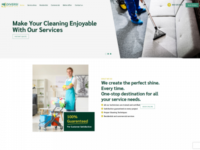 diversi-clean.com snapshot