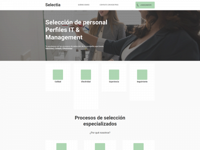 selectiaconsulting.com snapshot