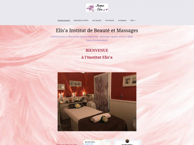 elisa-ng.ch snapshot