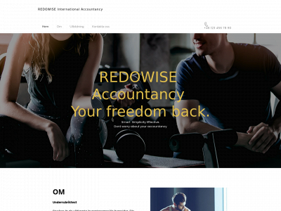 redowise.com snapshot