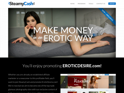 steamycash.com snapshot