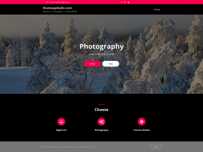 thomaspikolin.com snapshot