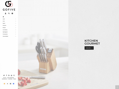 gofive.nl snapshot