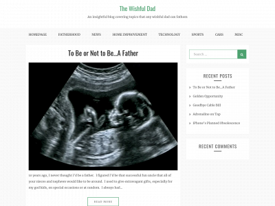 thewishfuldad.com snapshot