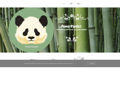 powerpandas.nl snapshot
