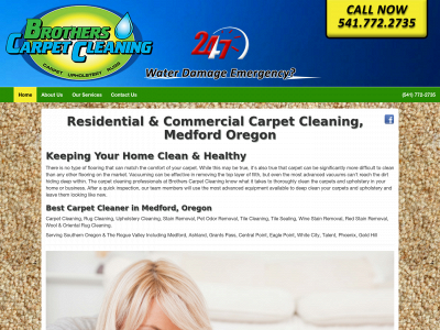 carpetcleaningbros.com snapshot
