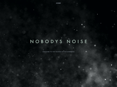 nobodysnoise.com snapshot