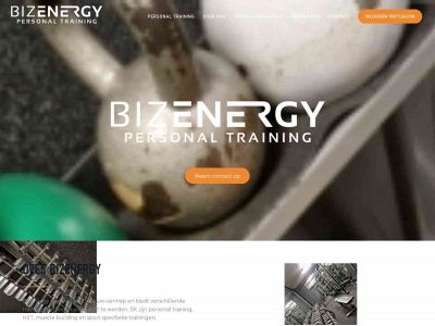 bizenergy.nl snapshot