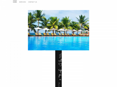 trippintravels.com snapshot