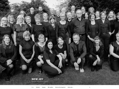 newjoy.dk snapshot