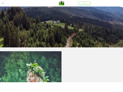 greencarpathians.online snapshot