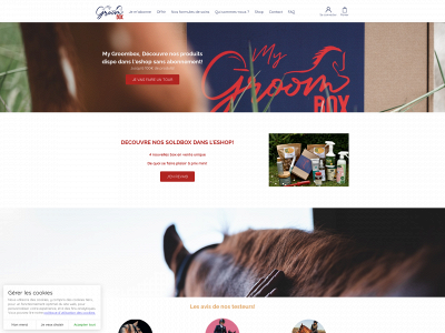mygroombox.fr snapshot