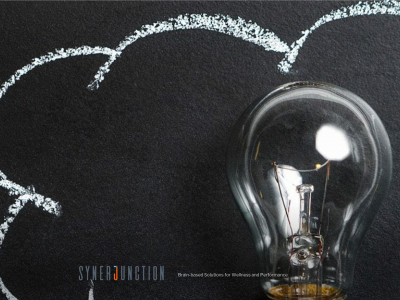synerjunction.com snapshot