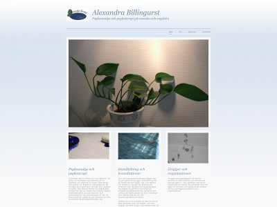 billinghurst.se snapshot