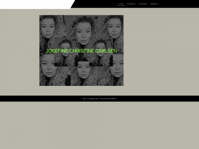 josefinecc.dk snapshot