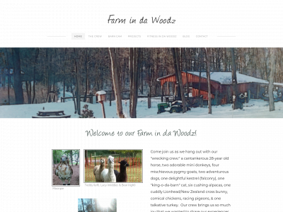 farmindawoodz.com snapshot