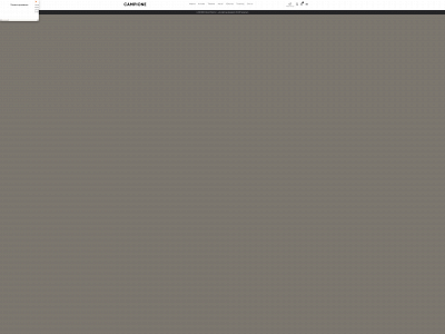campione.dk snapshot