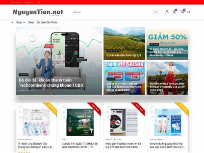 nguyentien.net snapshot