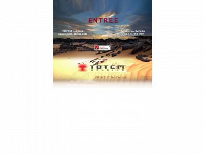 totem-group.com snapshot