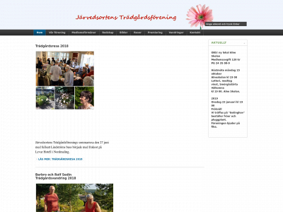 tfjarved.se snapshot