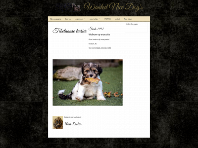tibetaanseterriers.nl snapshot