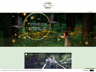 zaliakudra.lt snapshot
