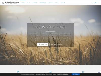 vetlandafri.se snapshot